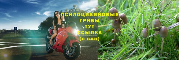 гидра Новокубанск