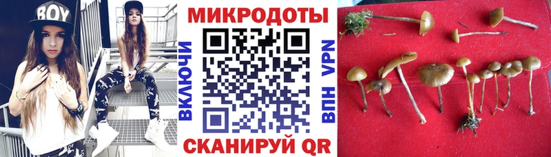 Купить закладки Калач-на-Дону Псилоцибиновые грибы GOLDEN TEACHER
